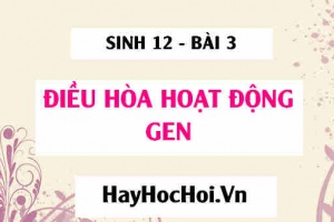 Điều hòa hoạt động gen ở sinh vật nhân sơ, mô hình cấu trúc của operon Lac - Sinh 12 bài 3